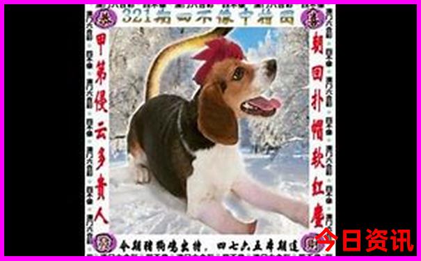 淮北旅游景点大全
